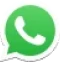 Icono de whatsapp